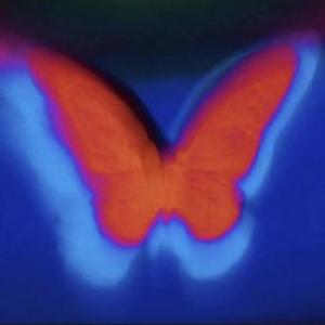 Richard Clayderman-梦中的婚礼（酥酥 remix）