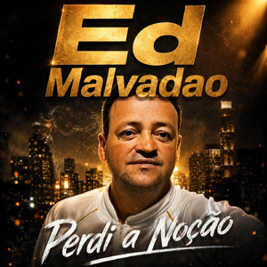 Perdi a noção