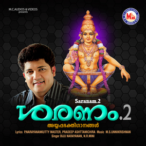 Aarnya Nayaka