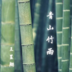 青山竹雨