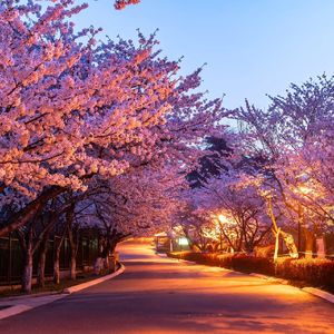在她的城市里徘徊