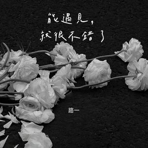 能遇见，就很不错了（cover.）