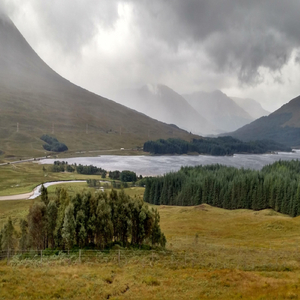 Trees in Autumn Quartet, Mvmnt 3