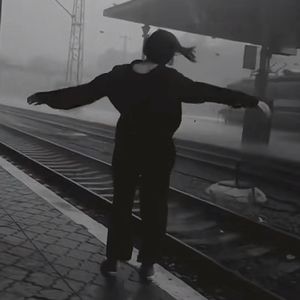 家乡是我的夏树