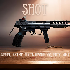Shot