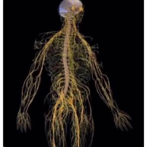 Thought You Was A Fed.