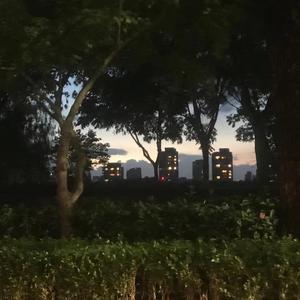 我们(prod by Raspo & Lexnour)