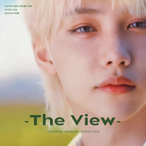 The View（翻自 SKZ）