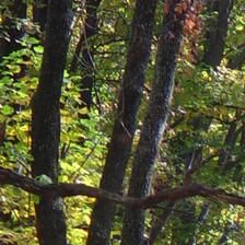 2024网易新歌 伴奏