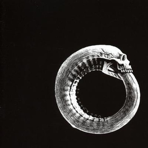 Drenched In Blood (D.I.B.)