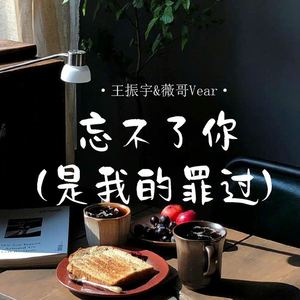 忘不了你 (是我的罪过)