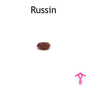 Russin (feat. Någon Annan)