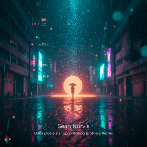 Dacă ploaia s-ar opri (Rolling Brothers Remix)