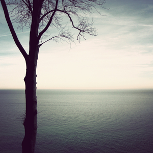 Organic (Original Mix)