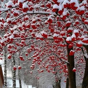 Merry Little Love Story