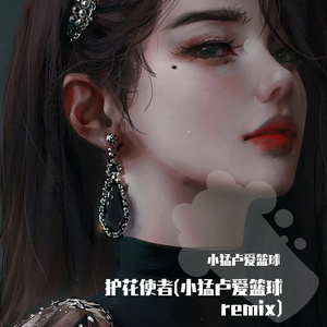 护花使者(小猛卢爱篮球 remix)