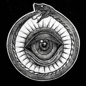 夏日夜狂想记录