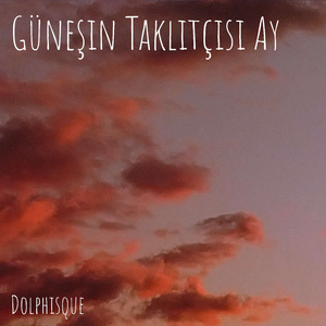 Güneşin Taklitçisi Ay