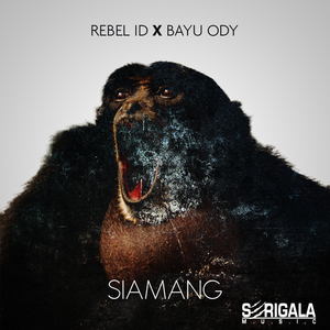 Siamang (Original Mix)