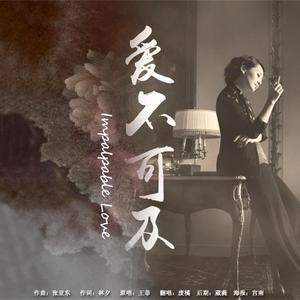 爱不可及（Cover 王菲）