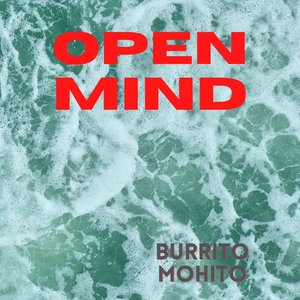 Serviranno Le Pistole