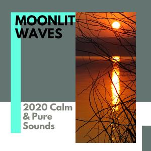 Easygoing Waves Harmony