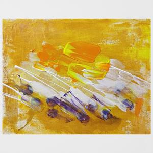 金魚 (feat. コティロリーザ ツベルクラータ)