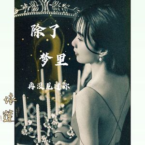 除了梦里再没见过你