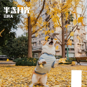 你眼里有光，我不惧世界荒唐