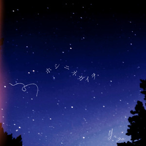 ホシニネガイヲ