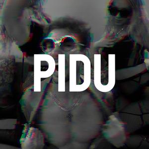 Pidu (feat. DJ drumwell)