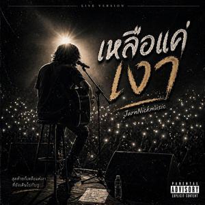 เหลือแค่เงา