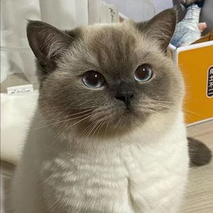 二进制心跳 伴奏