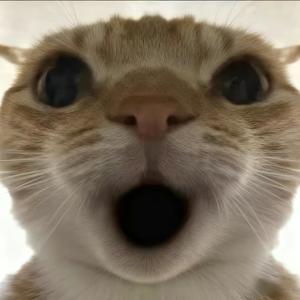 哈基米（进行曲）