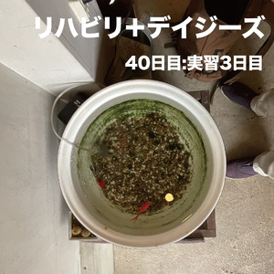40日目:実習3日目