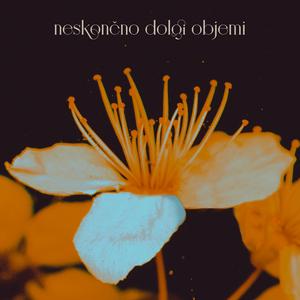 Neskončno dolgi objemi (feat. Manca Trampuš)