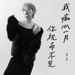 我痴心一片 你视而不见（空灵版）