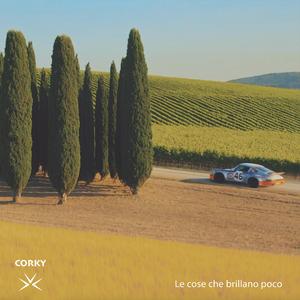 Le cose che brillano poco