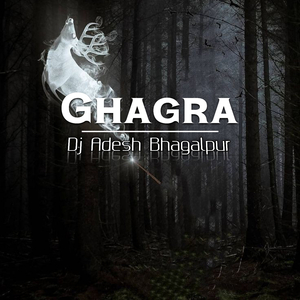 Ghagra