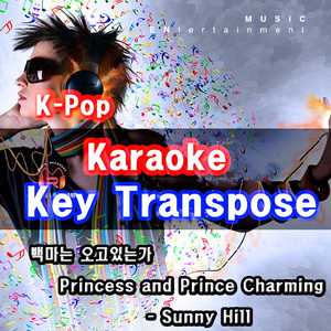 백마는 오고있는가 (Karaoke)