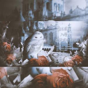 魔法盛宴·入学·众校友的来信——《哈利波特》知名校友群像曲