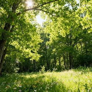 万般皆苦几轮回 (Cover 王佳音)