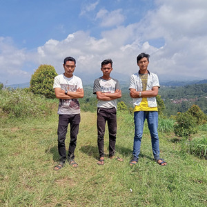 Kembang Lambe