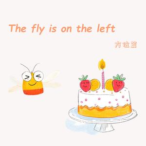 这只苍蝇在左边 | The fly is on the left | 英语启蒙