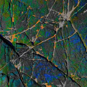 When The Sheep Laugh Before You