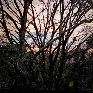 Es que a la luna no le llego yo