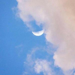 私奔到月球（翻自 陈绮贞）