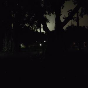 丛林困兽(Jungle trapped beast)