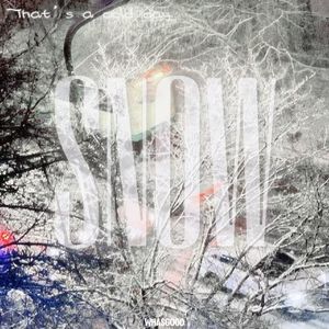 一年冬（SNOW）