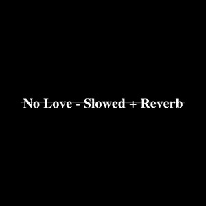 No Love (Slowed + Reverb)